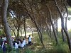 Amliar la fotografia